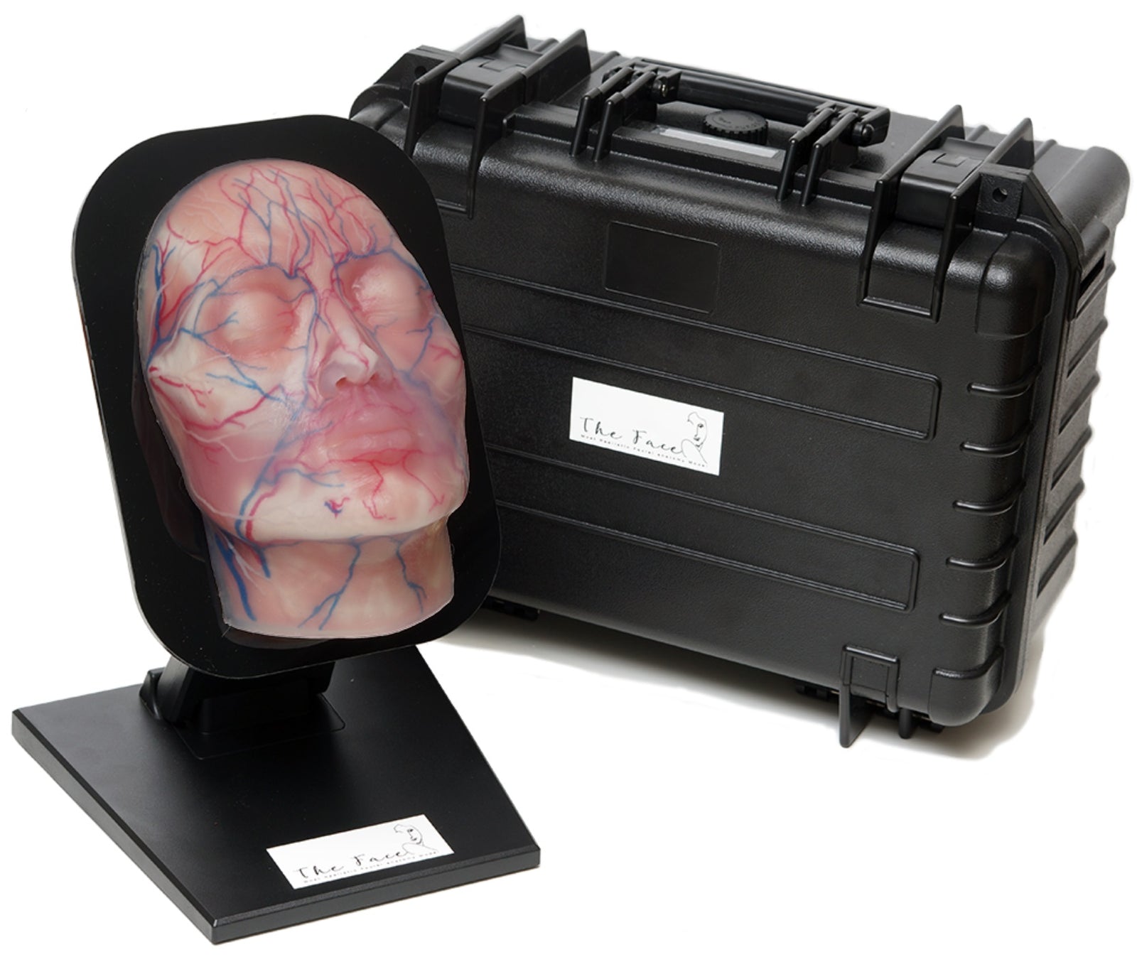 Aesthetic Mannequin Face