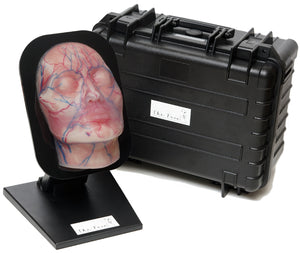 Aesthetic Mannequin Face