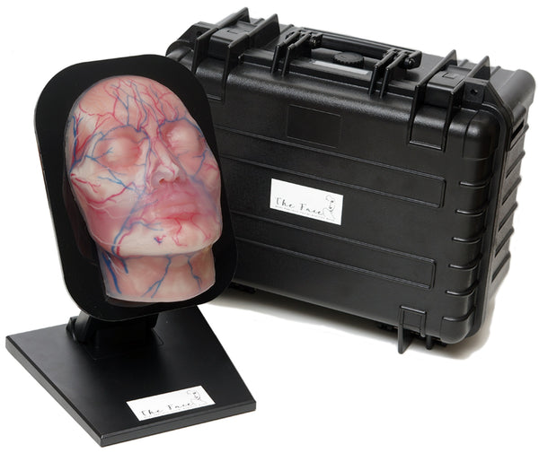 Aesthetic Mannequin Face