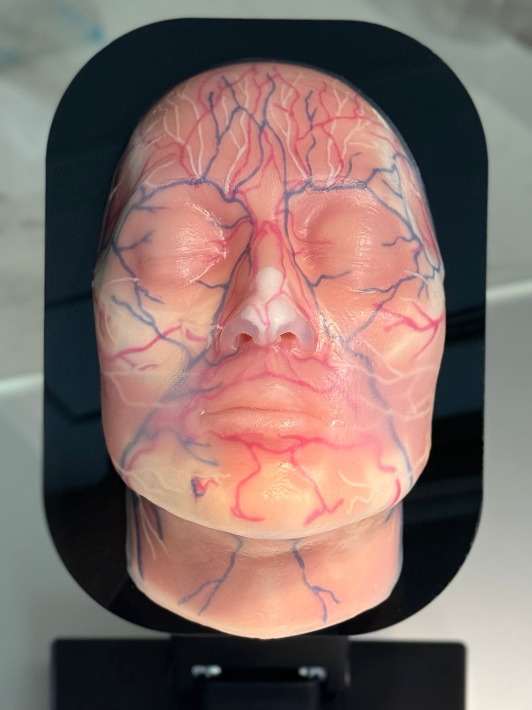 Aesthetic Mannequin Head